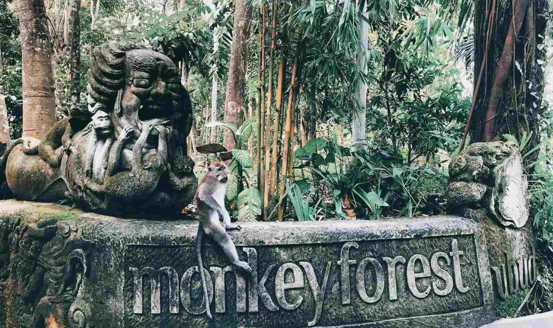 Kaamala Luxury Resort & Spa Ubud By Ini Vie Hospitality
